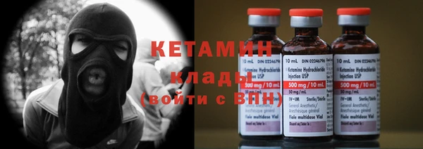 сатива Балахна
