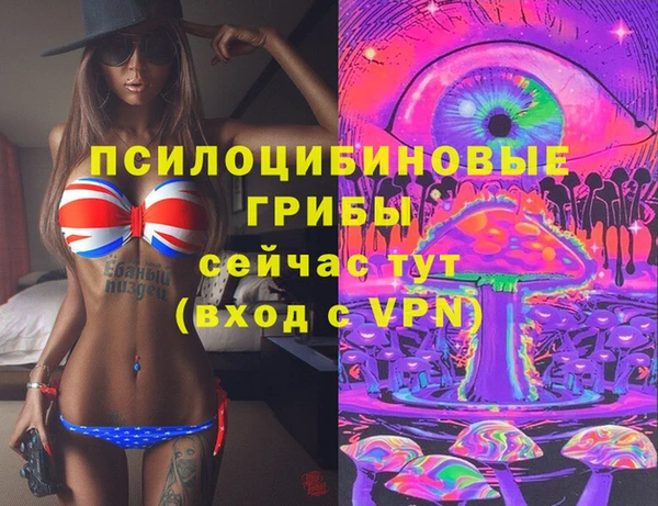 сатива Балахна