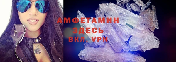 сатива Балахна