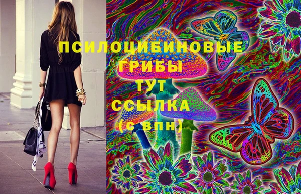 сатива Балахна