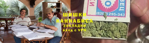 сатива Балахна